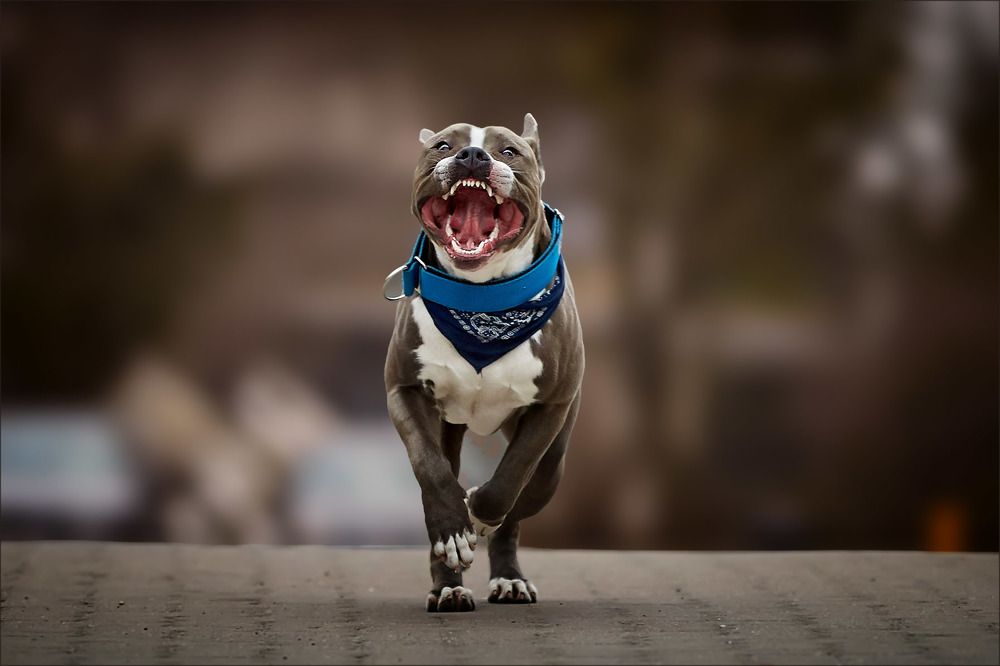 Photograph by Зайцев Игорь