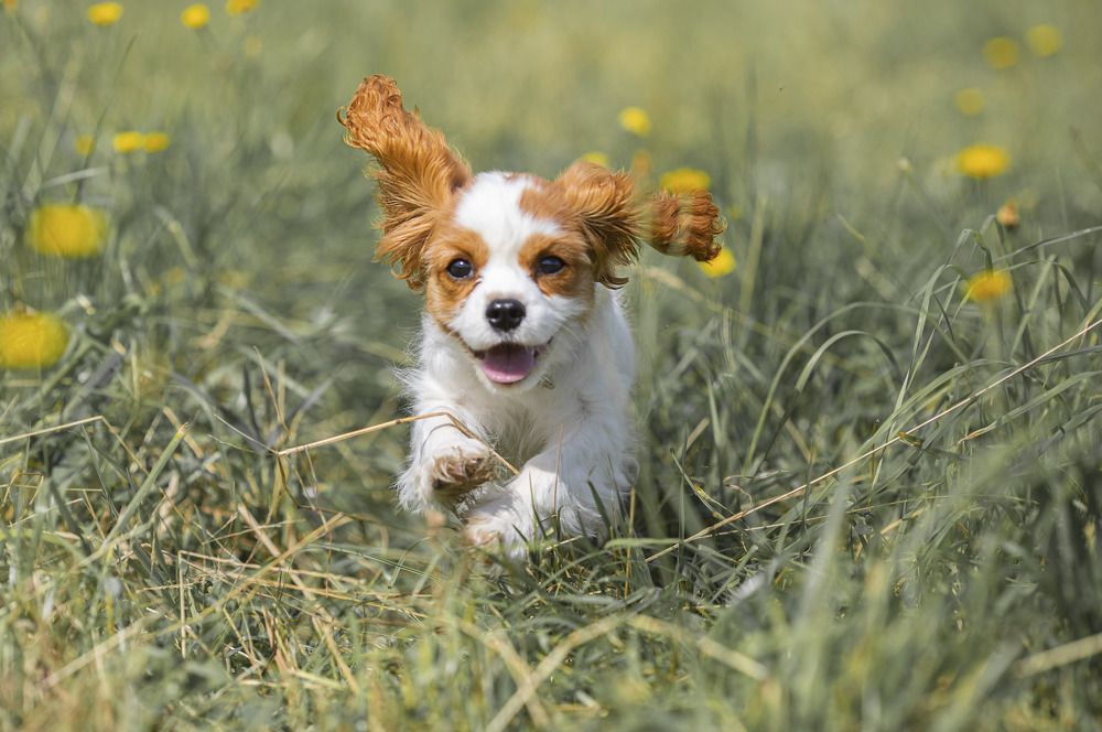 Photograph by Любовь Перевозникова