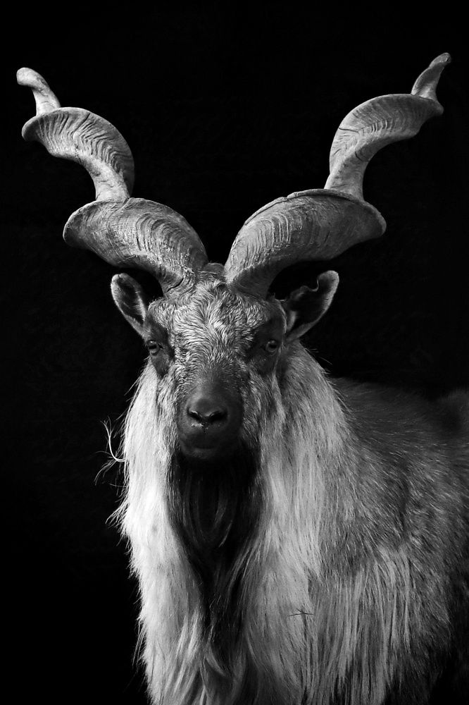 Фотография автора Елена Кириллова