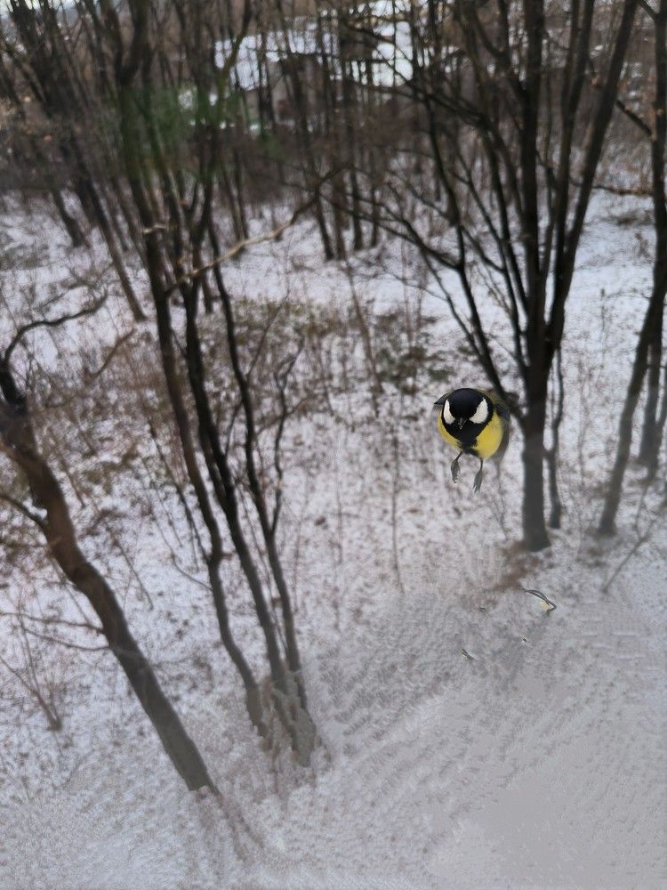 Photograph by Юлия Бурминская