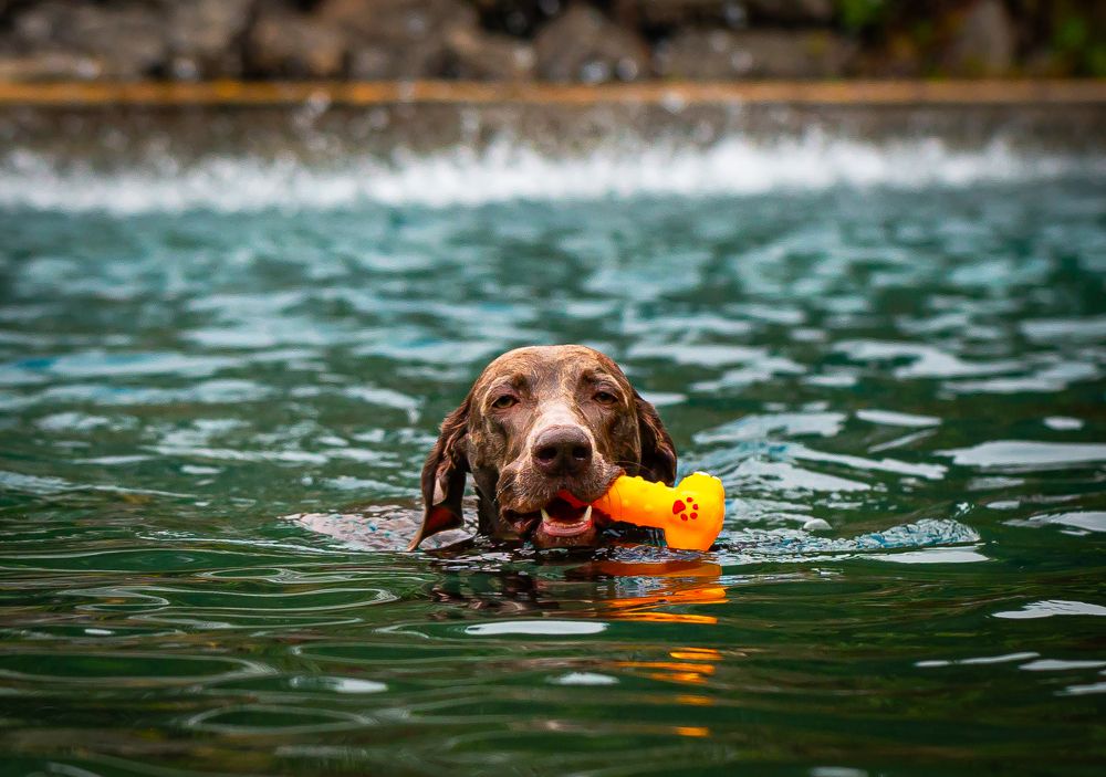 Photograph by Laura Lucio