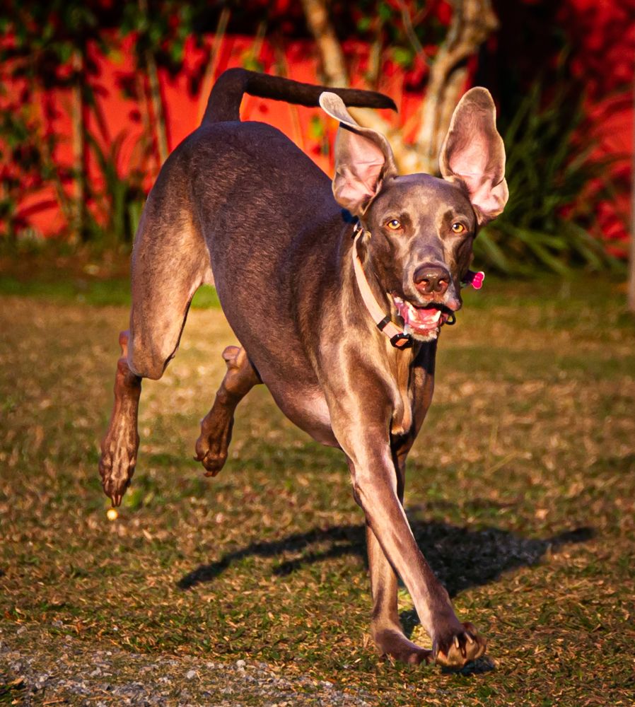 Photograph by Laura Lucio