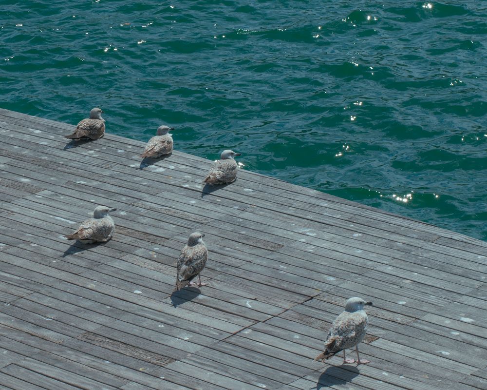 Photograph by DIMITRIOS SIONAKIDIS