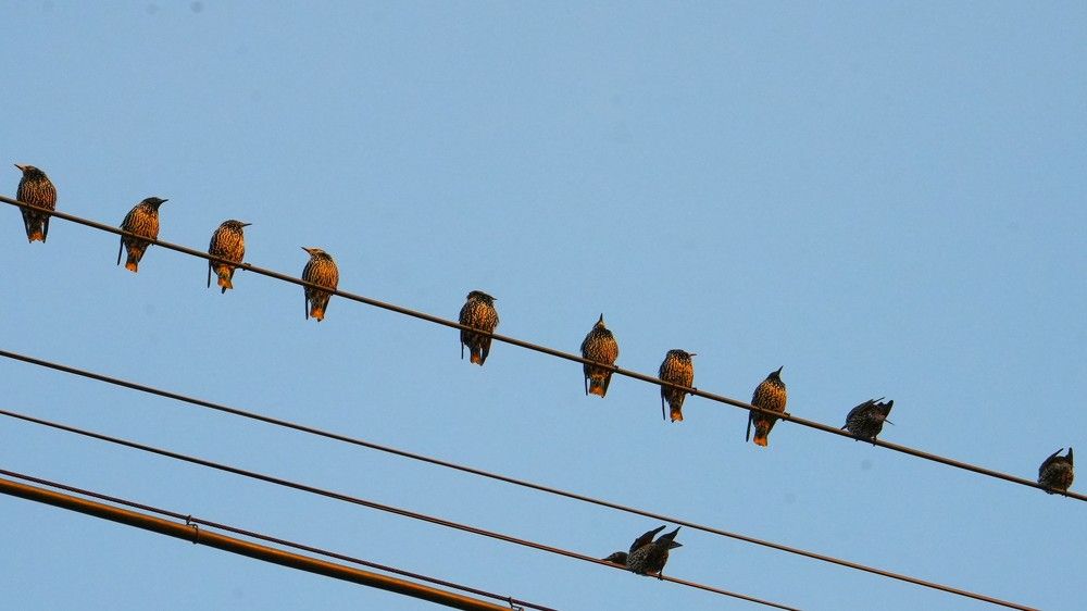 Photograph by Михаил Трусов