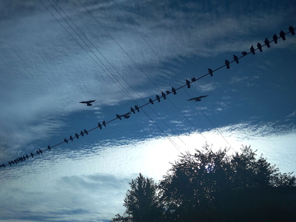 Photograph by Leyla Minnullina