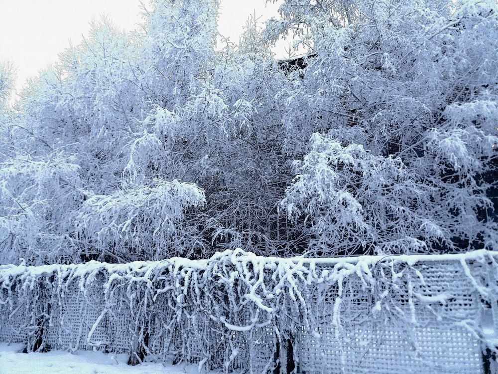 Фотография автора Светлана