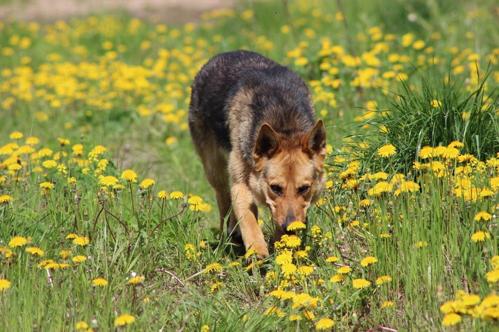 Photograph by Игорь Лузин