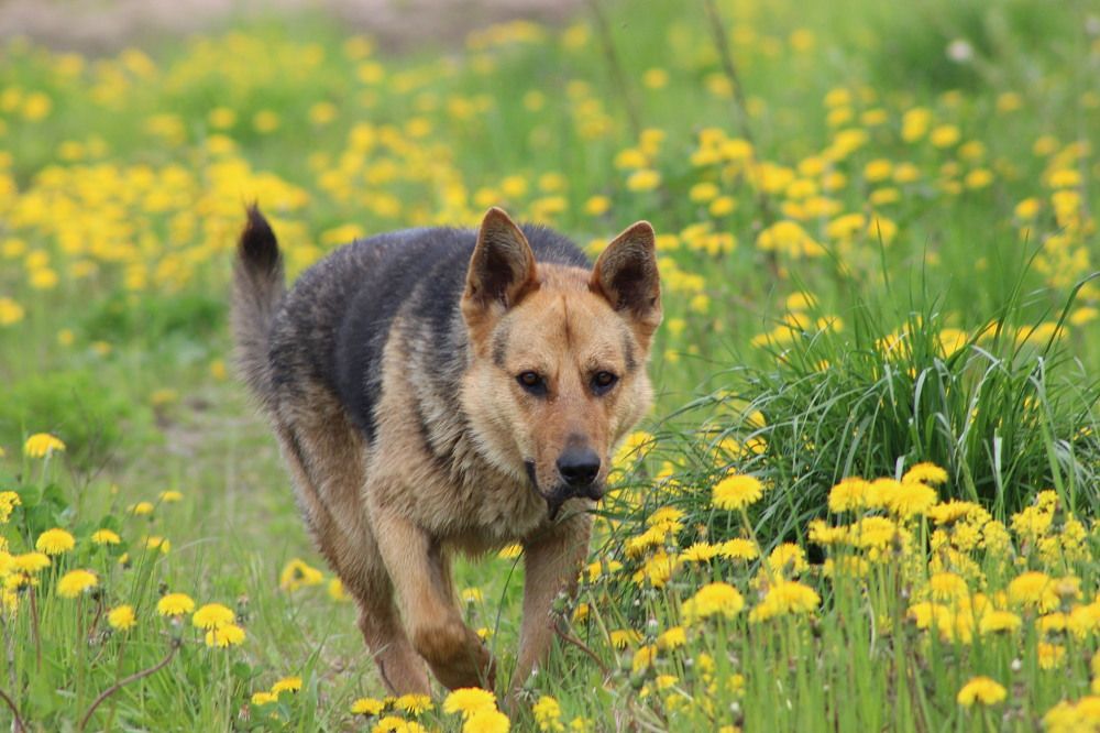 Photograph by Игорь Лузин