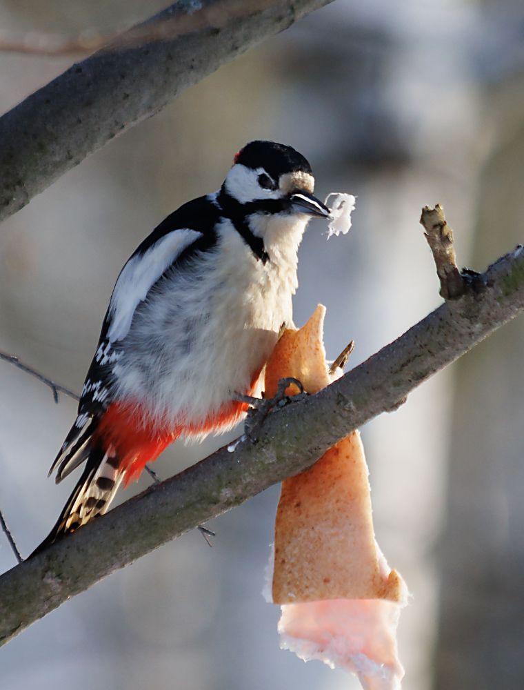 Photograph by Ольга Чибисова