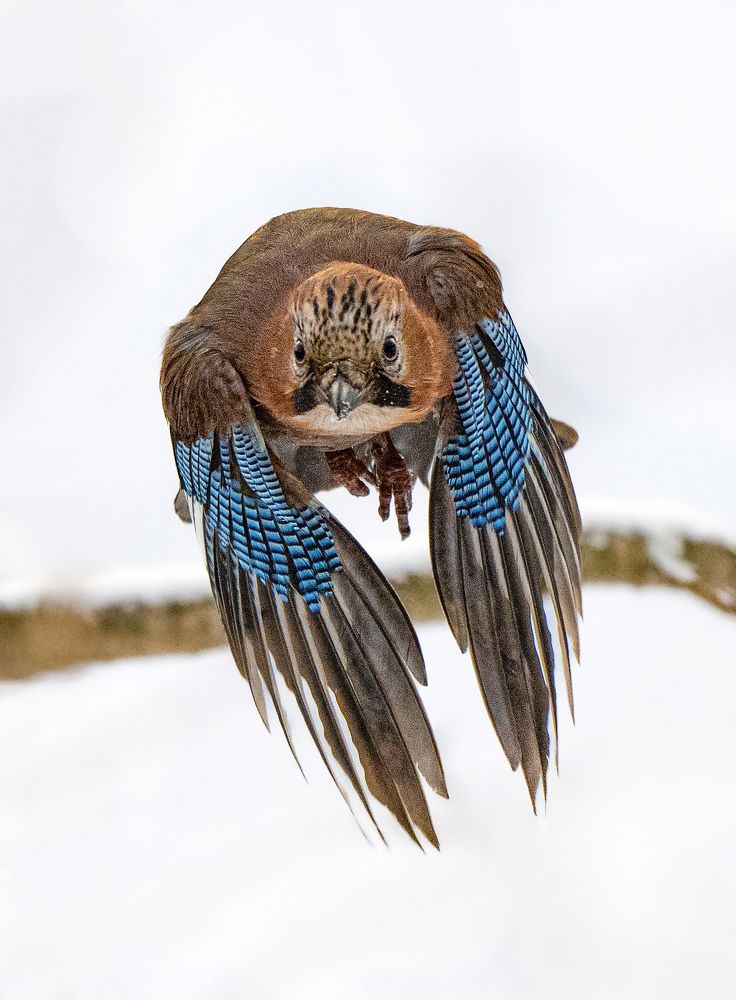 Фотография автора Andrey Semenov