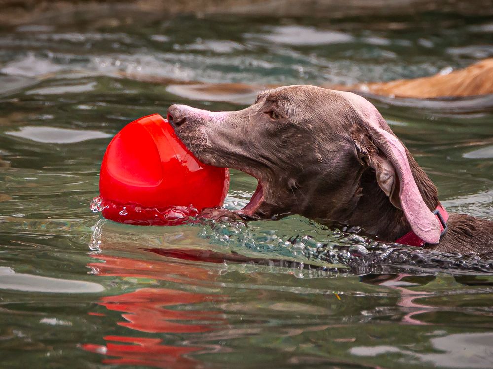 Photograph by Laura Lucio