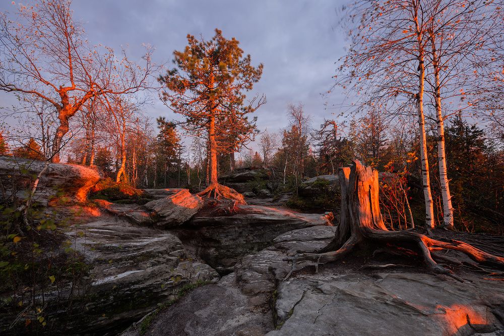 Photograph by Головченко Юрий