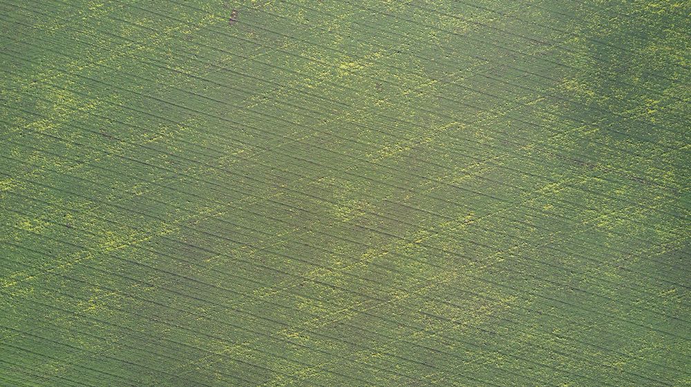 Photograph by Вадим Сташкевич