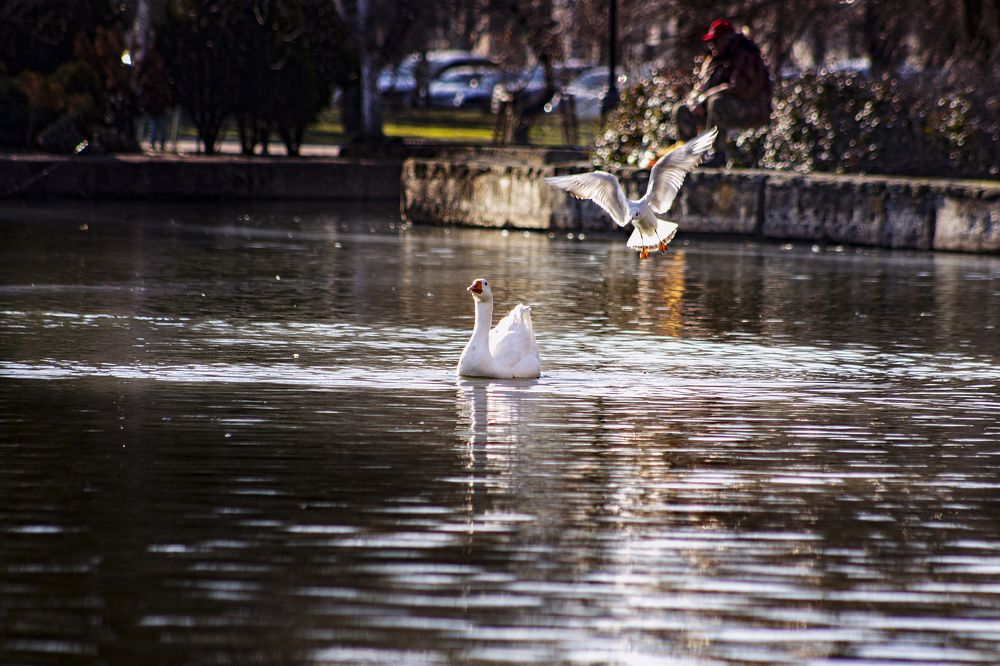 Photograph by Victoria Mogulyan