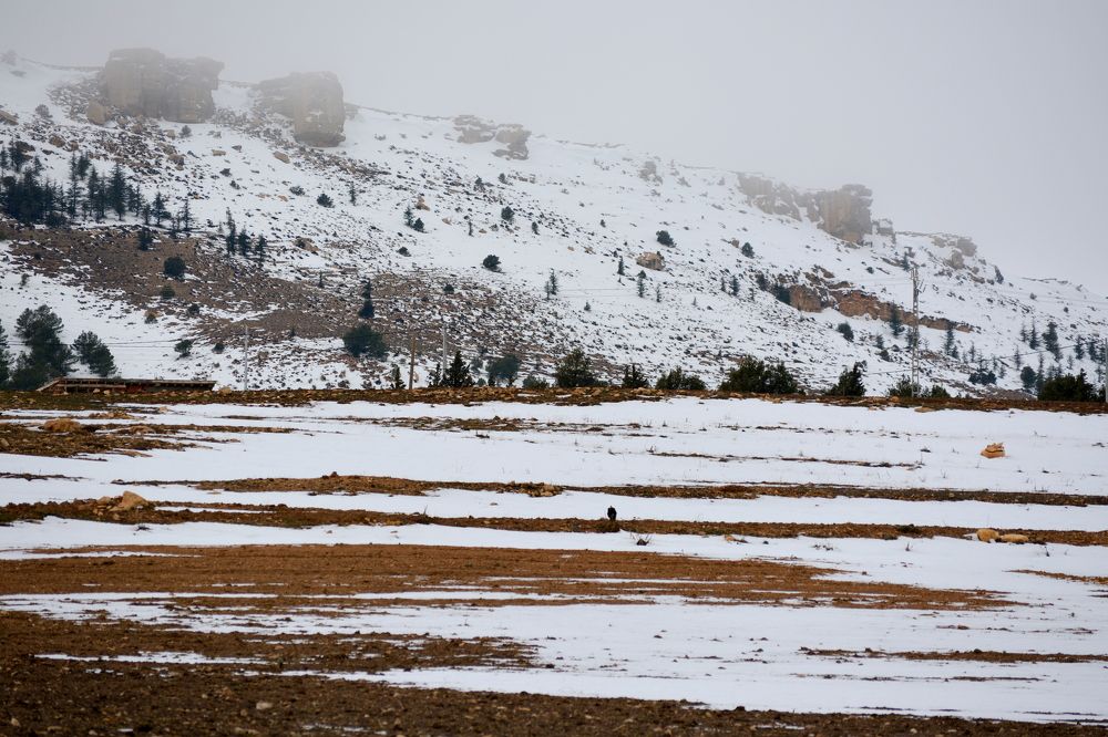 Photograph by Mostefaoui Sofiane