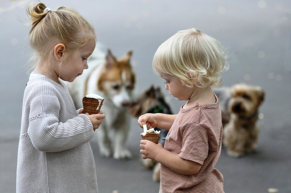 Фотография автора Ковяк Сергей Васильевич