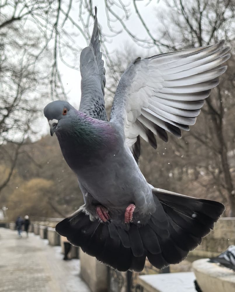 Photograph by Кривенко Владимир