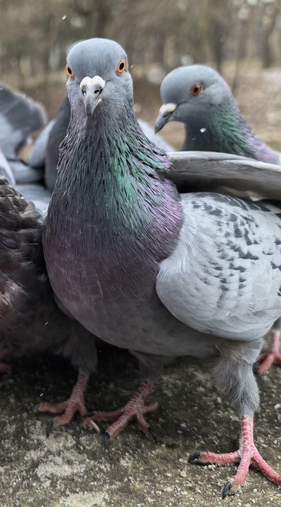 Photograph by Кривенко Владимир