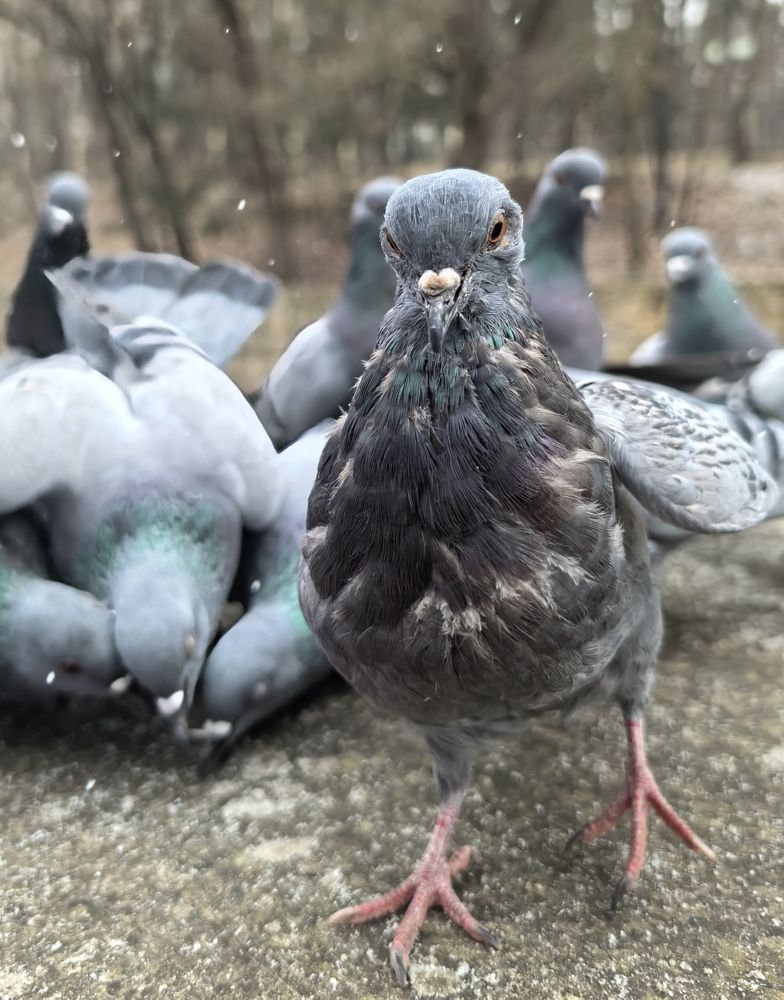 Photograph by Кривенко Владимир