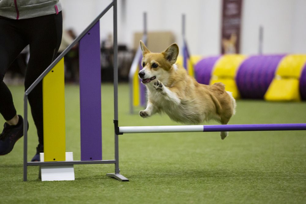 Фотография автора Полина Жаринова