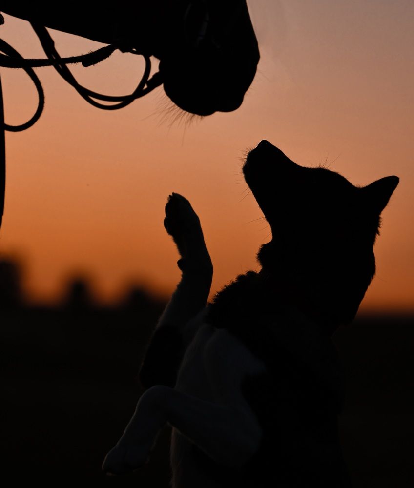 Photograph by Марина