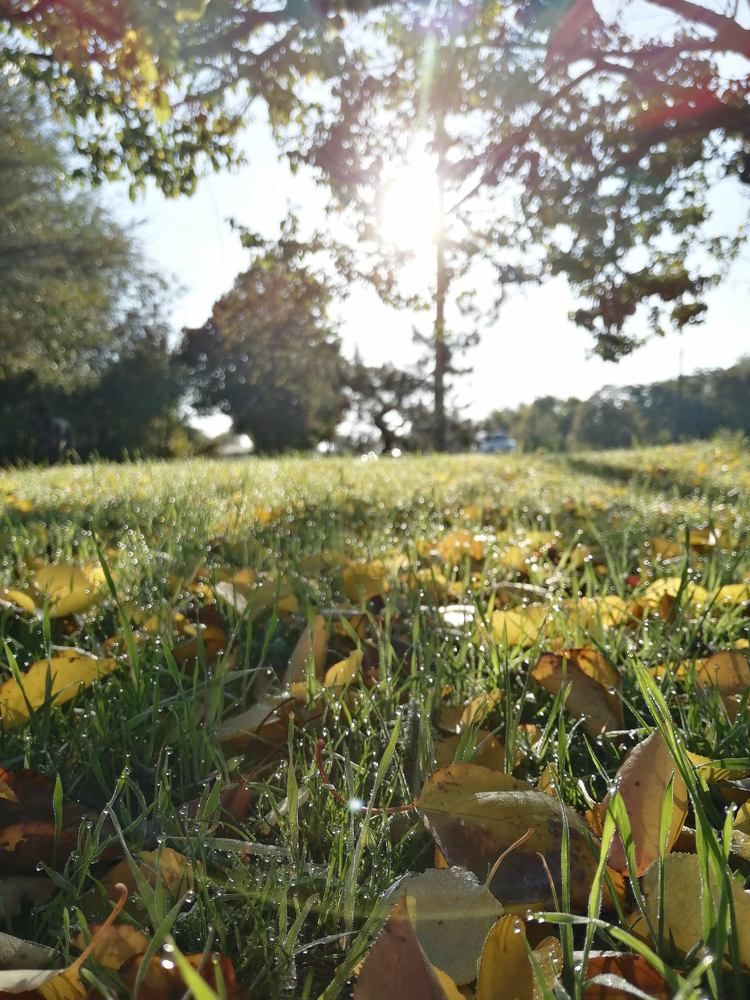 Фотография автора Светлана