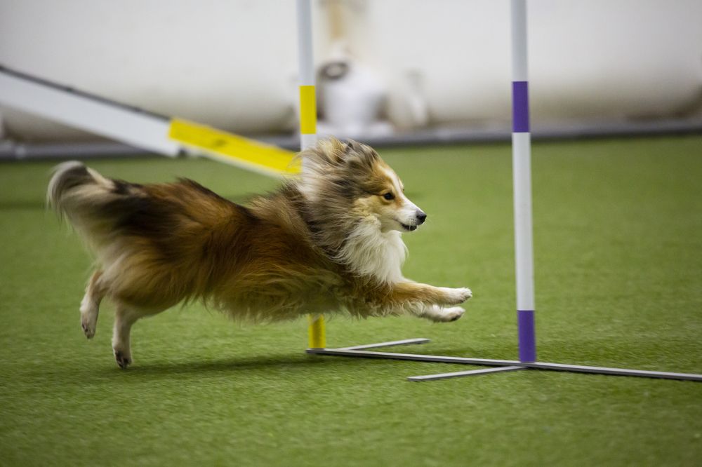 Фотография автора Полина Жаринова