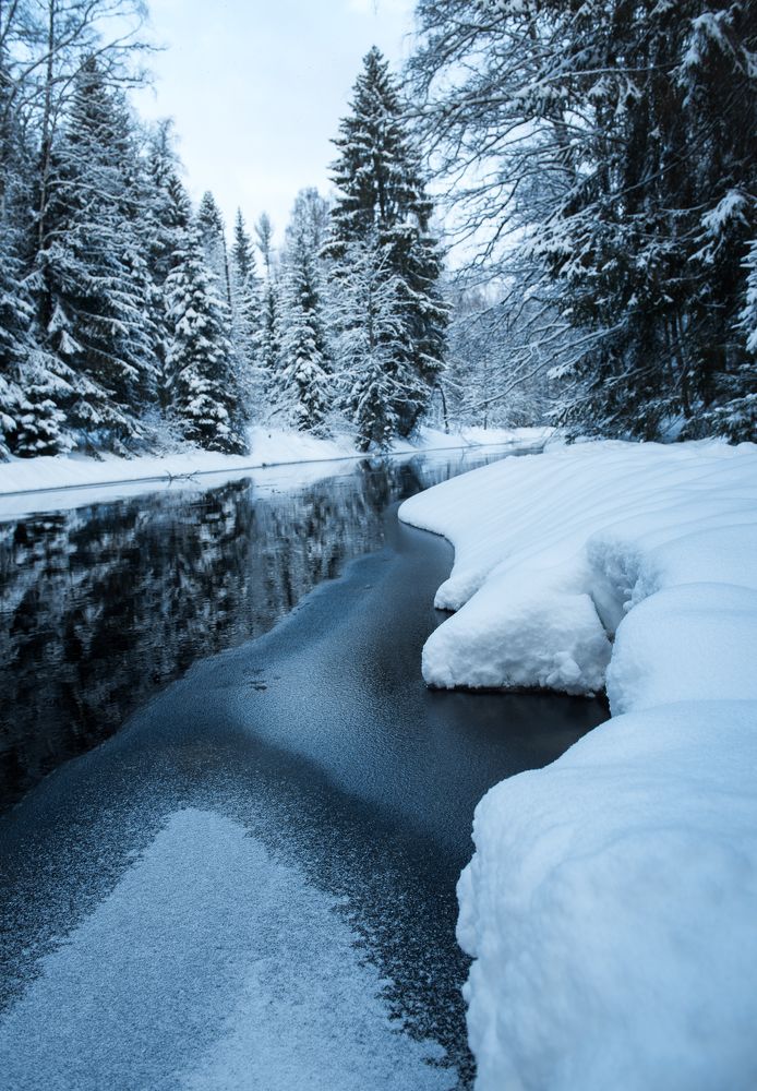 Photograph by Наталья Сергеева