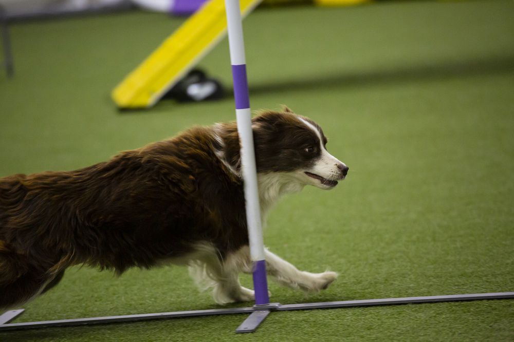 Фотография автора Полина Жаринова