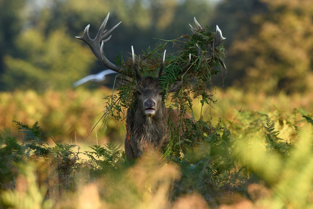 Фотография автора Lukasz Wojcik