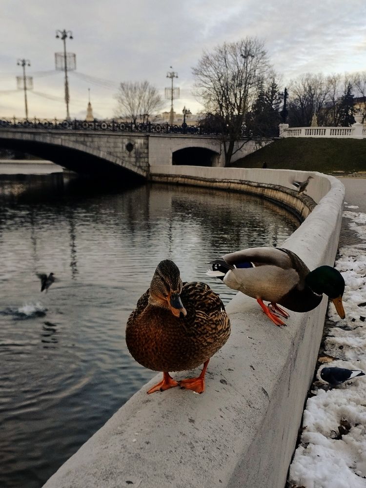 Photograph by Ия Дирко