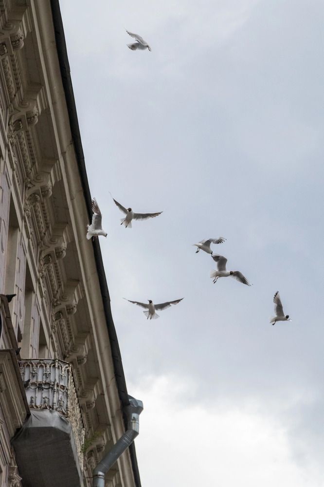 Фотография автора Dmitry Melnikov