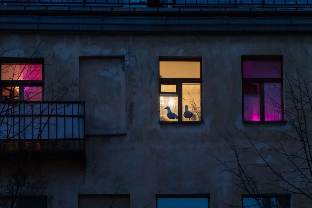 Фотография автора Dmitry Melnikov