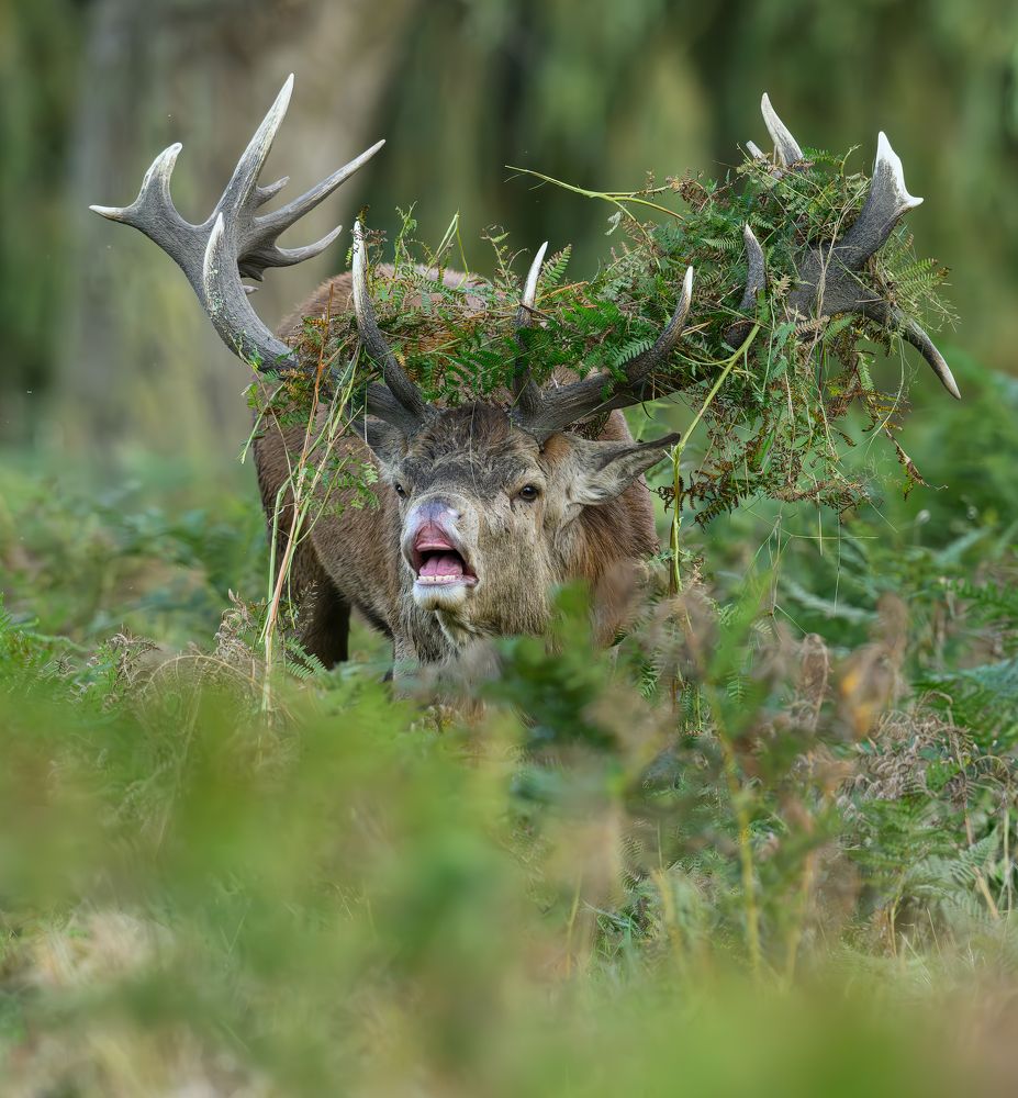 Фотография автора Lukasz Wojcik