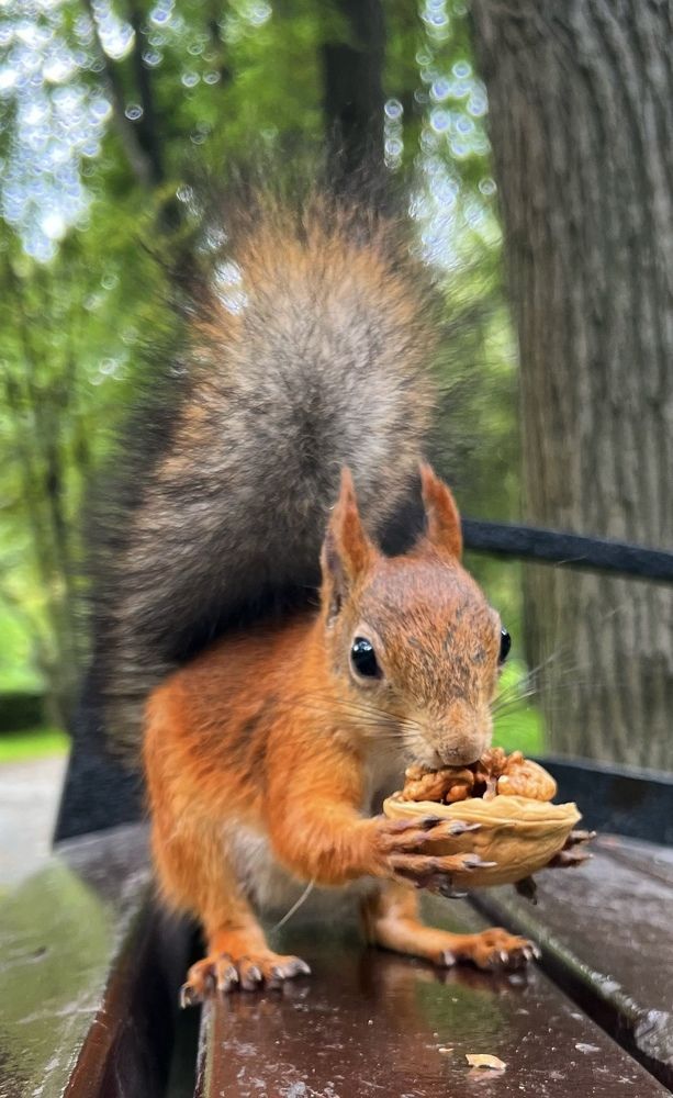 Photograph by Ирина Швейнова