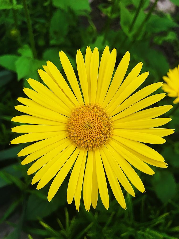 Фотография автора AnnA Shchegrinets