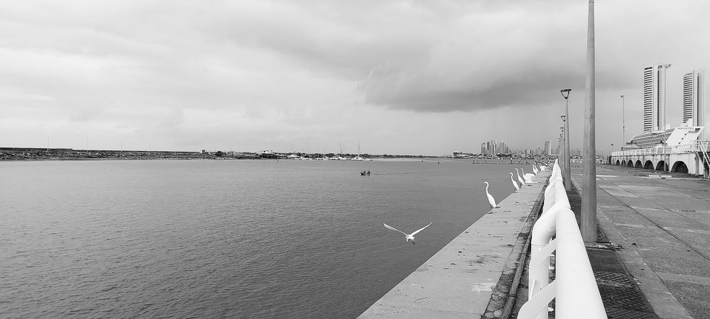 Photograph by CRINALDO REIS