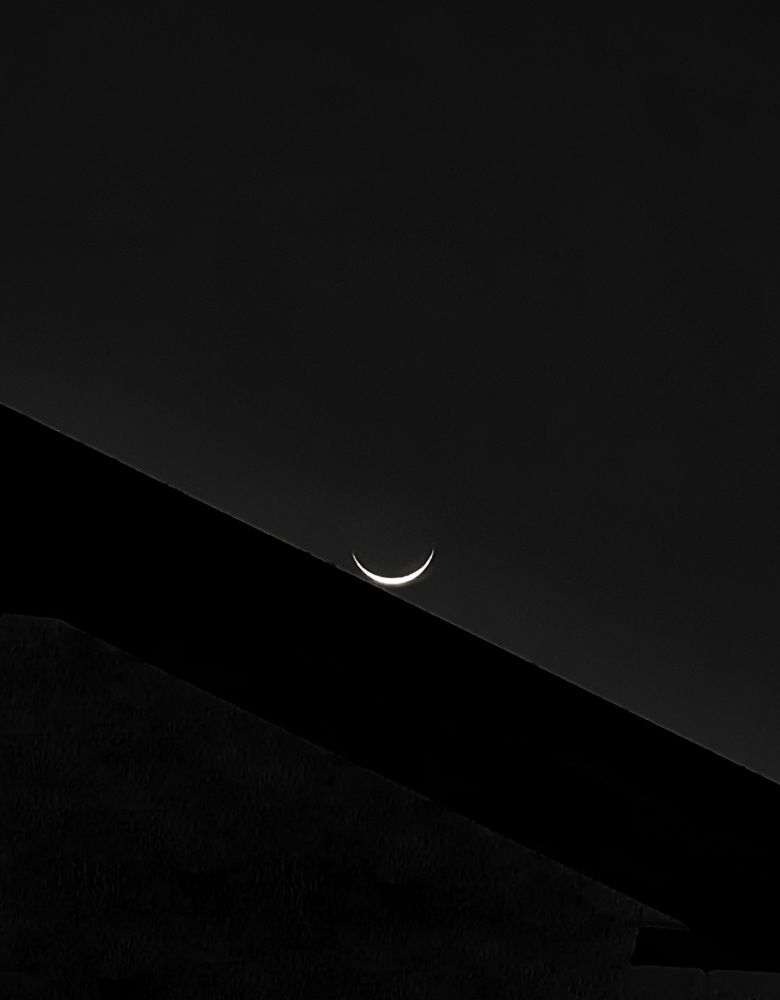 Photograph by Кристина Феминова