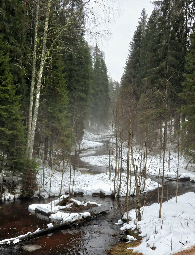 Photograph by Александр Шаварин