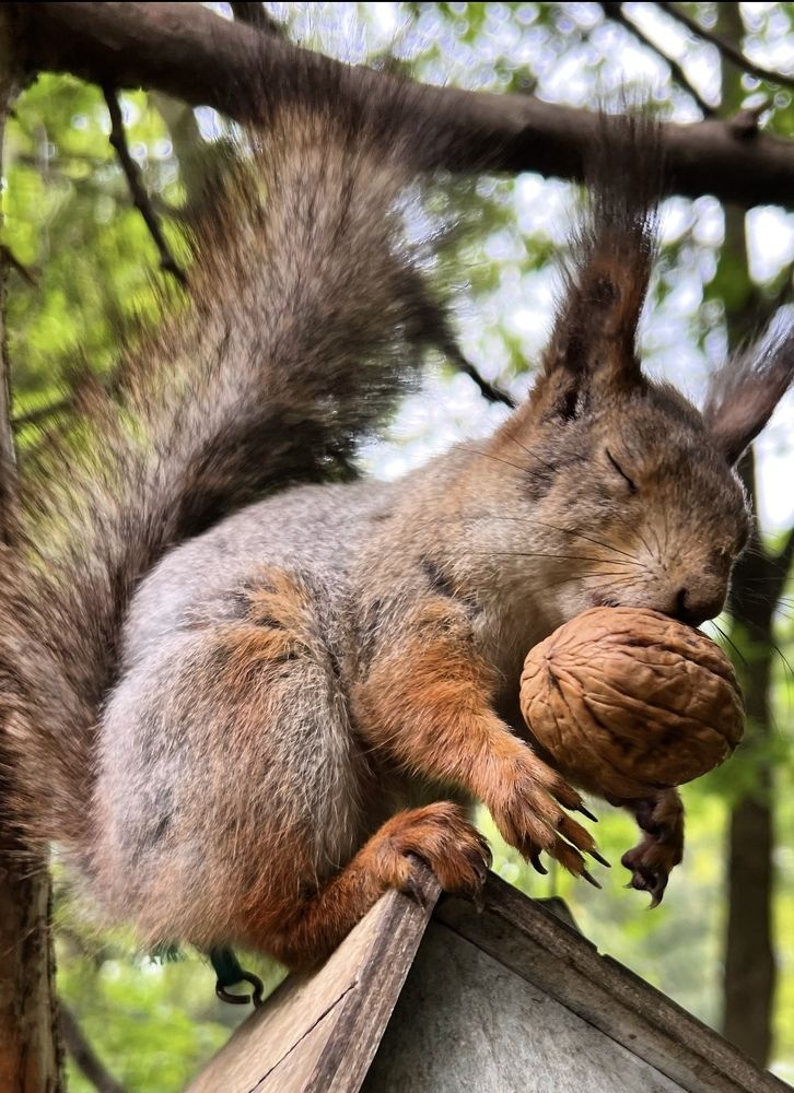 Photograph by Ирина Швейнова