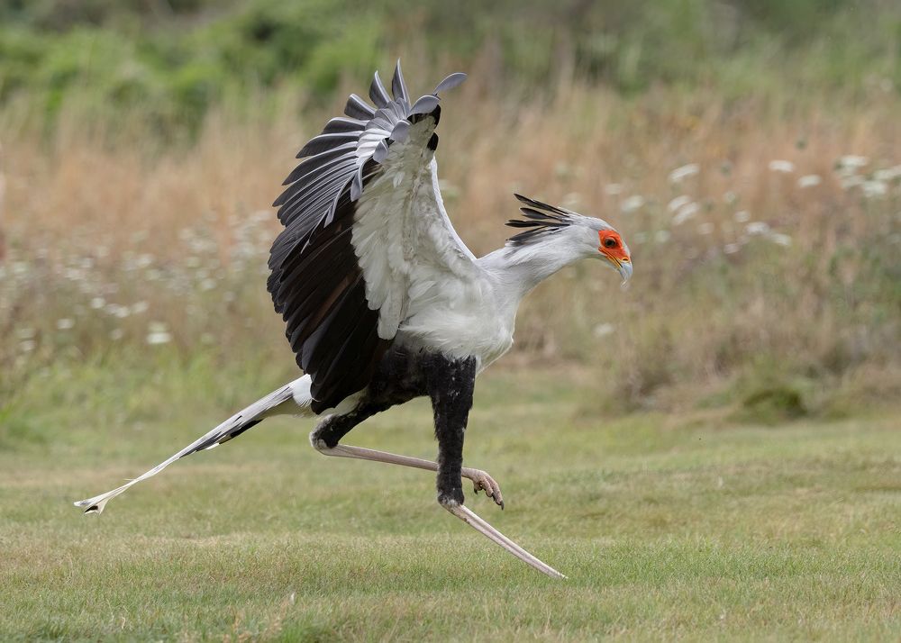 Фотография автора MARIA KULA