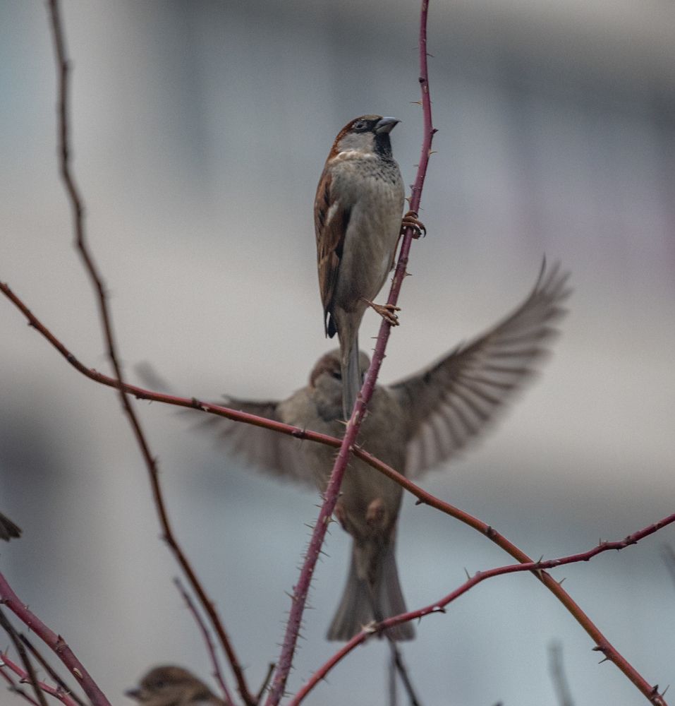 Photograph by Сергей Здерев