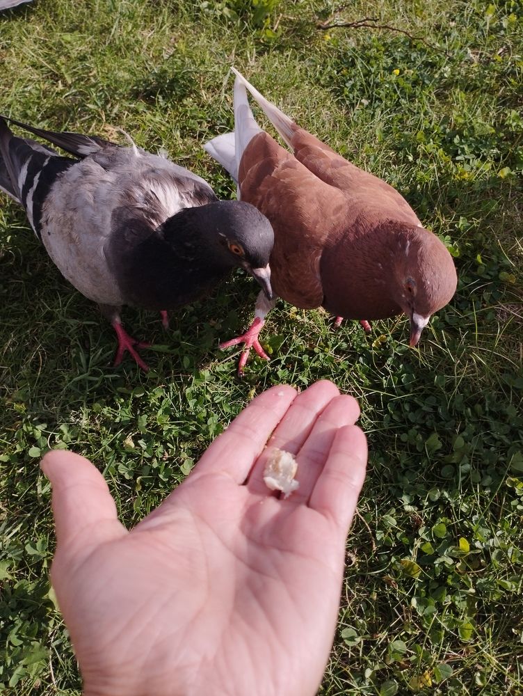 Photograph by Ия Дирко