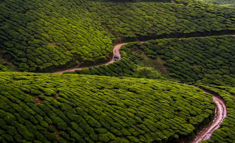 Magical Munnar