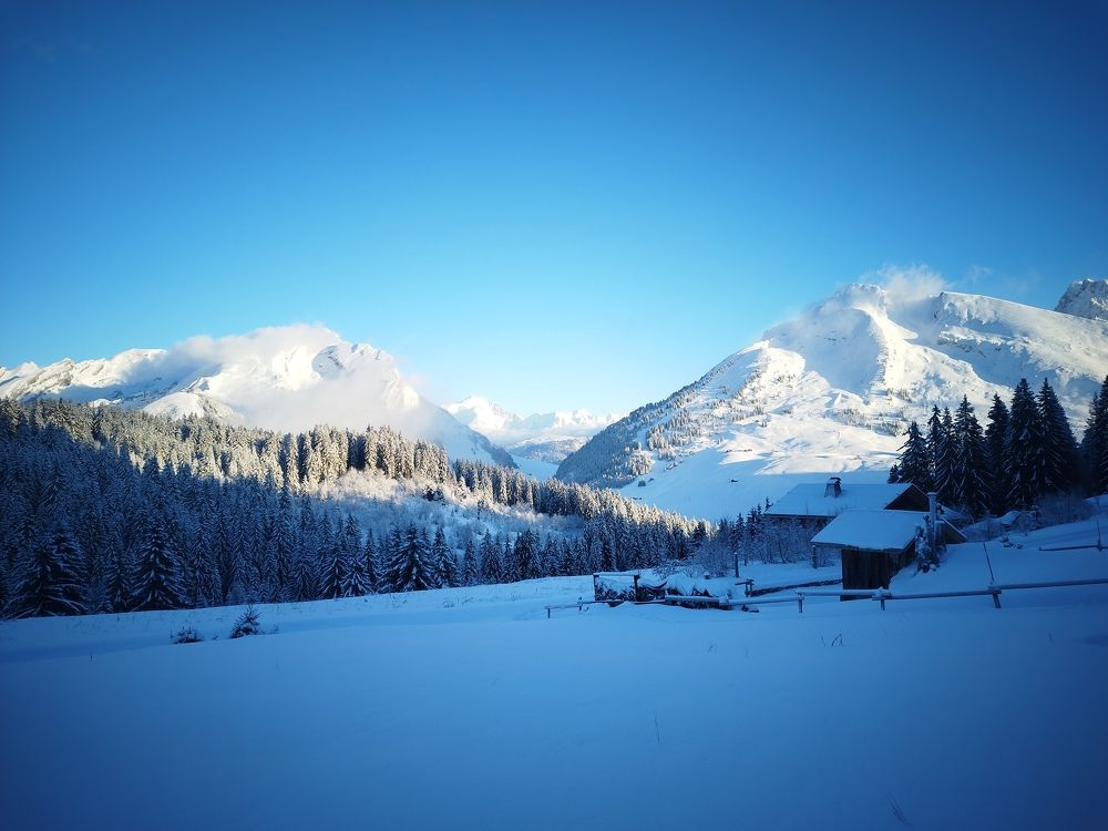 Фотография автора Clarise Joy Evangelista