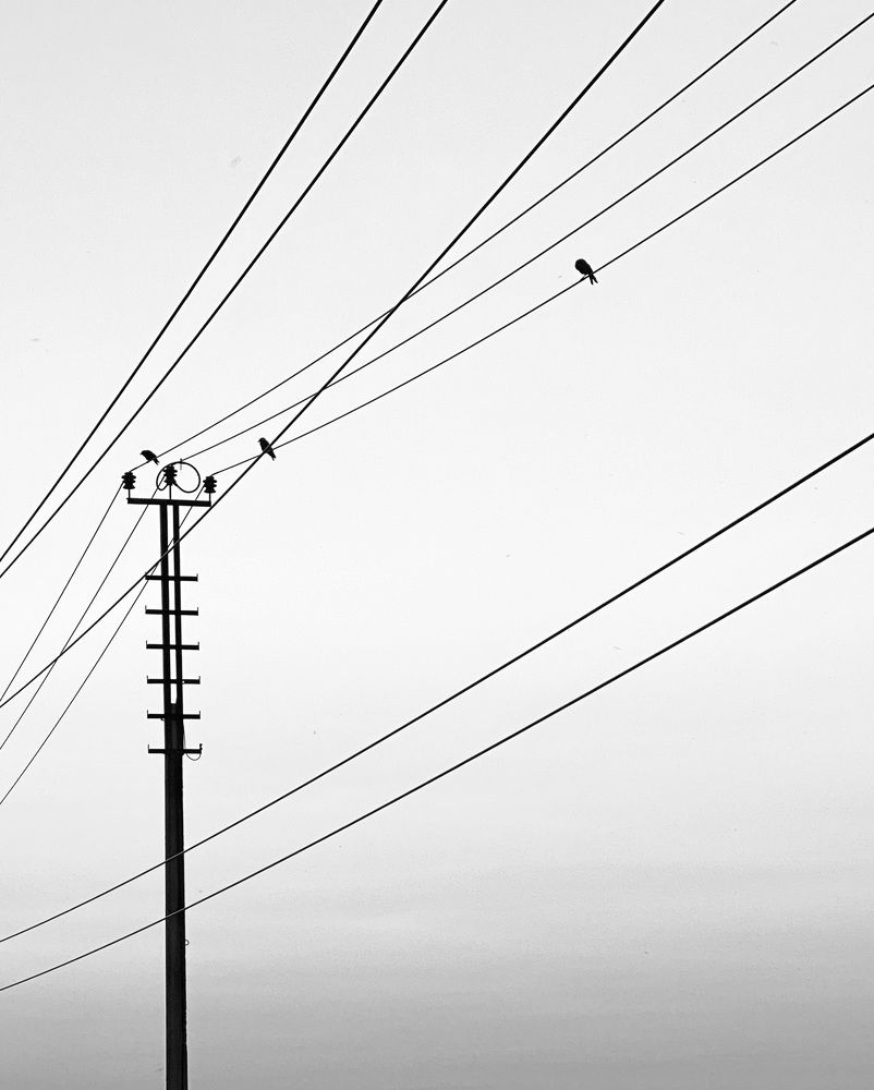 Photograph by Ирина Сорока