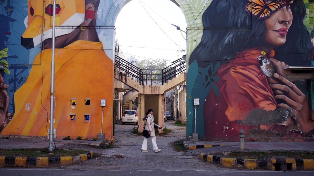 Photograph by Md. Shafiul Islam Mahin