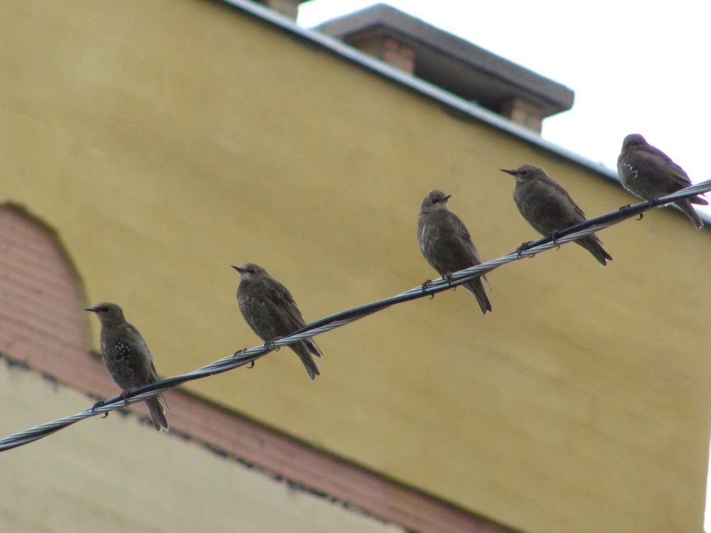 Photograph by Юлия