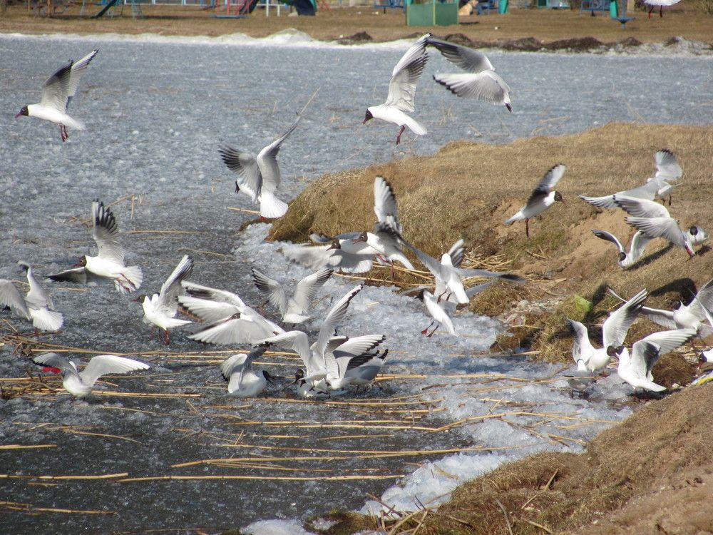 Photograph by Юлия