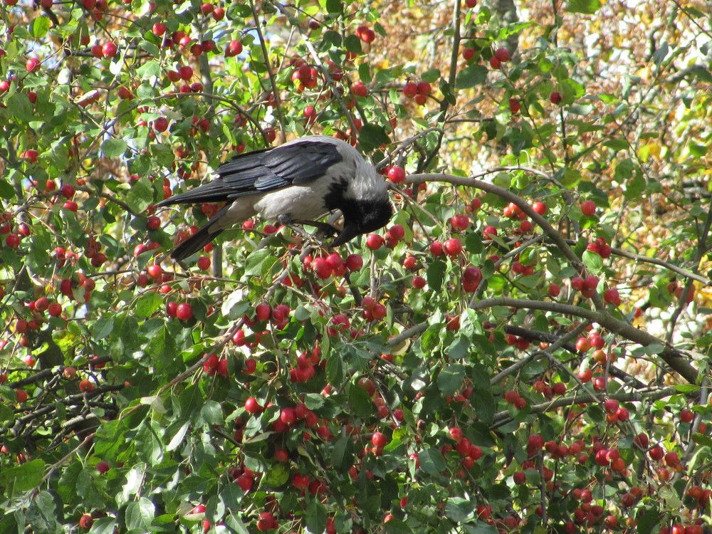 Photograph by Юлия